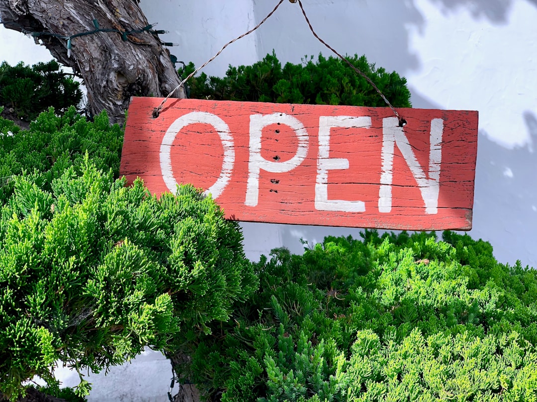 Selling online courses: the honest walkthrough and when it's a bad idea